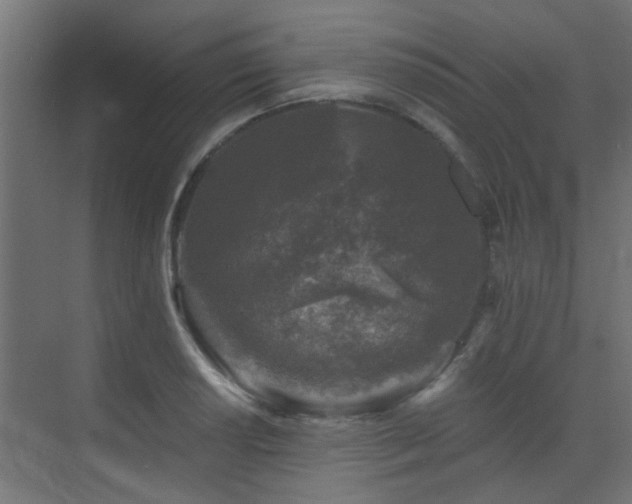 X0000072961034200607211152