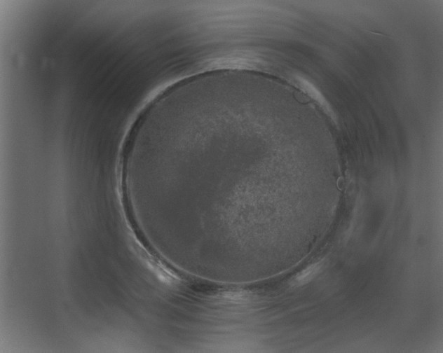 X0000072961035200607211152