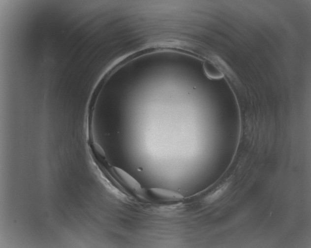 X0000072961036200607211152