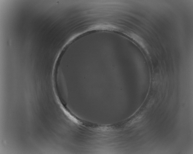 X0000072961037200607211152