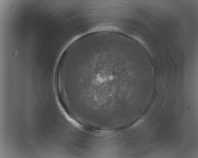 X0000072961038200607211152