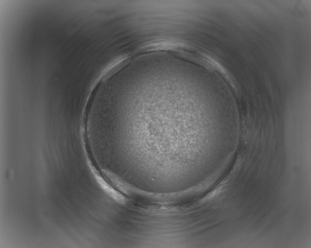 X0000072961042200607211152