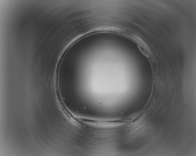 X0000072961044200607211152