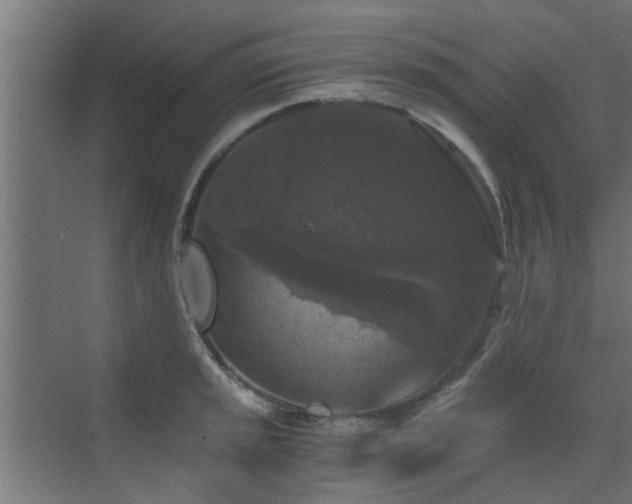 X0000072961045200607211152