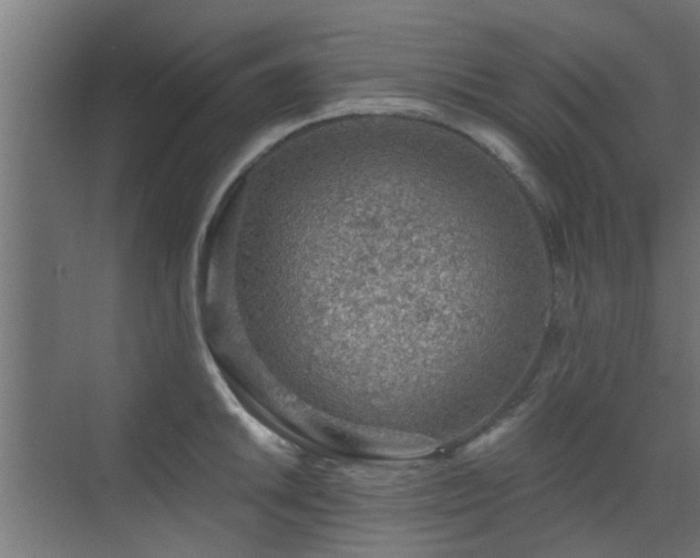 X0000072961046200607211152