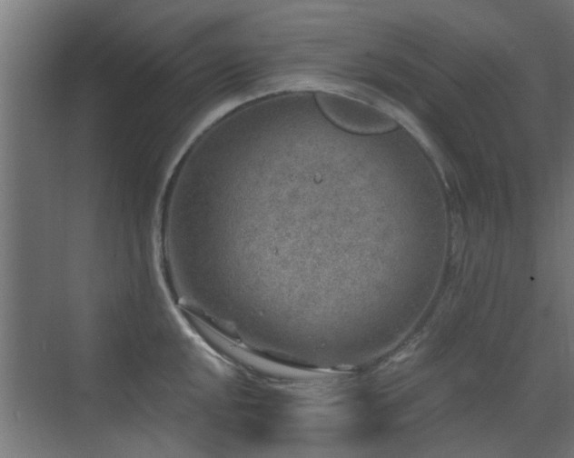 X0000072961048200607211152