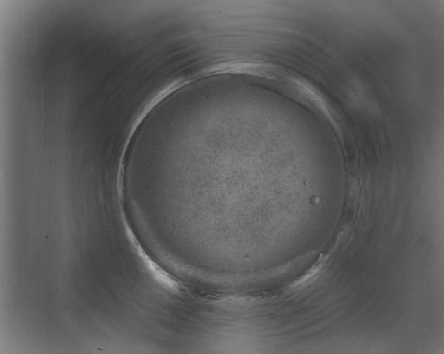 X0000072961050200607211152