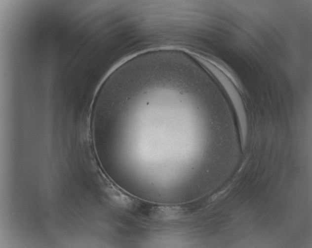 X0000072961052200607211152