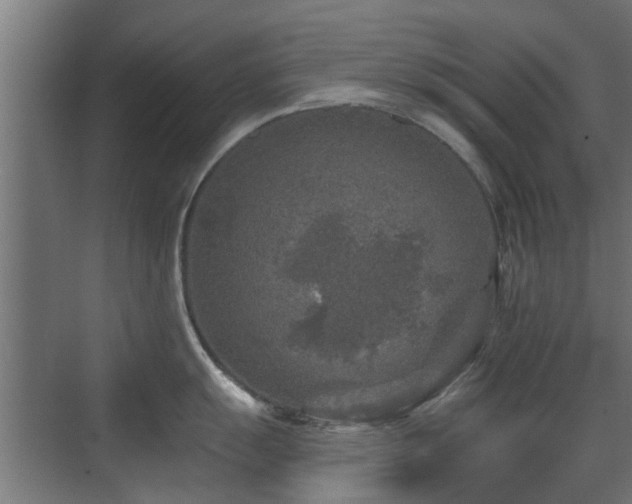 X0000072961055200607211152