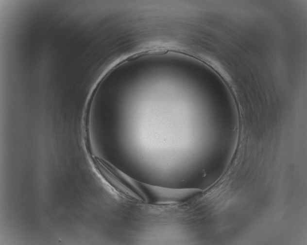 X0000072961056200607211152