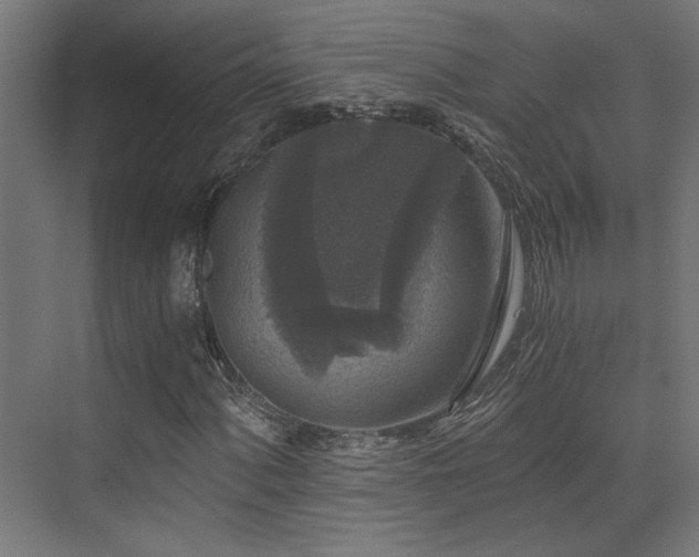 X0000072961060200607211151