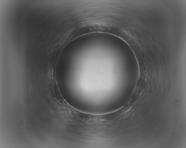 X0000072961061200607211151
