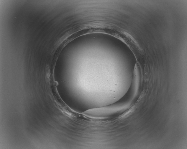 X0000072961065200607211151