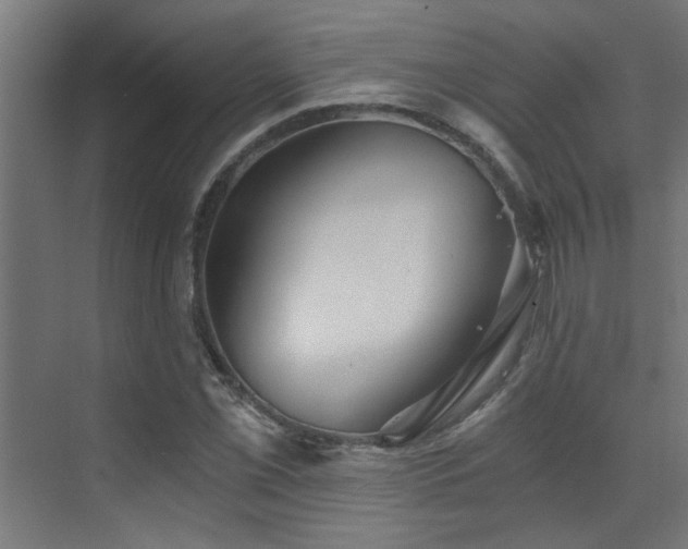 X0000072961069200607211151