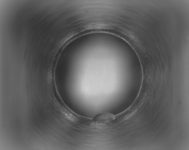 X0000072961073200607211151
