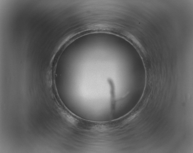 X0000072961075200607211151