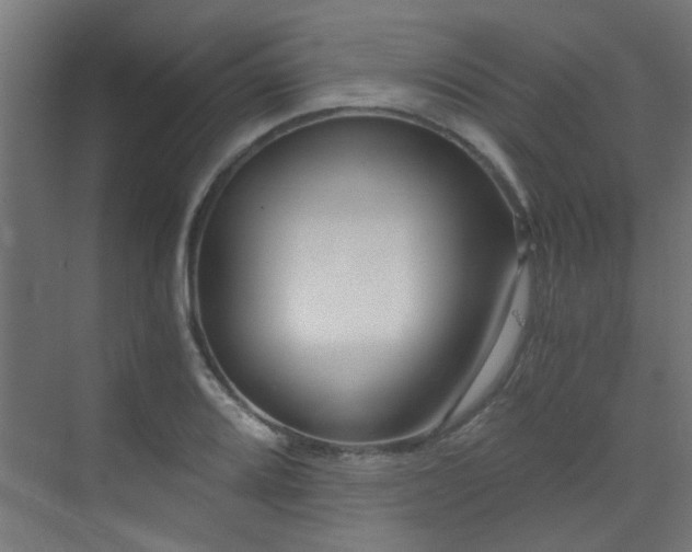 X0000072961080200607211151