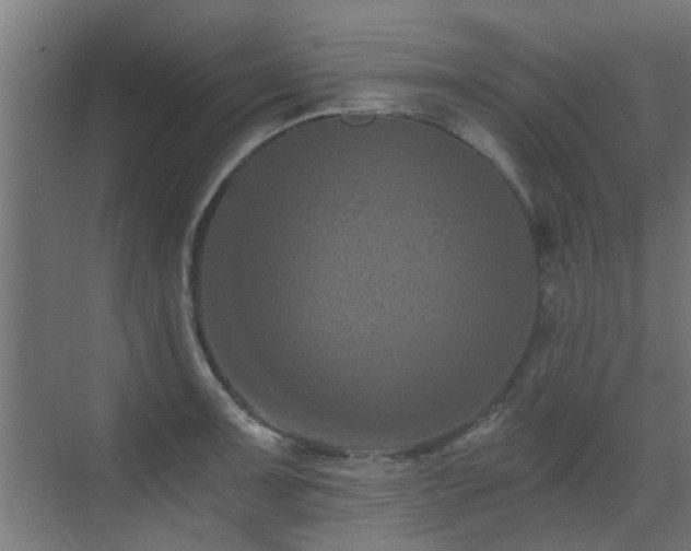 X0000072961091200607211151