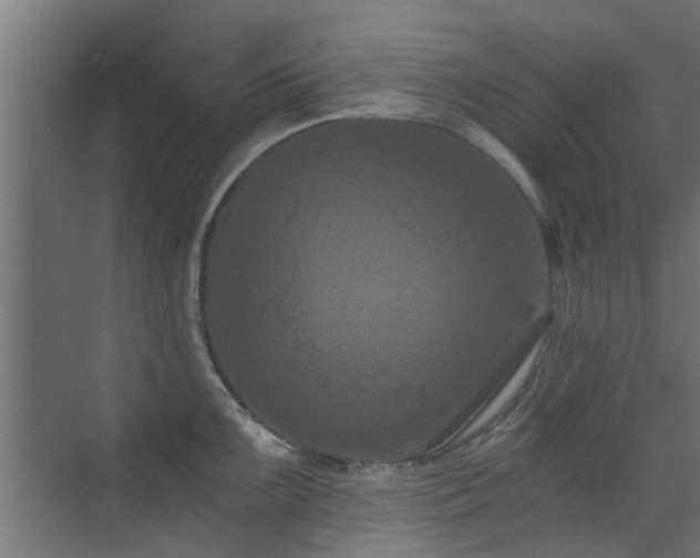 X0000072961099200607211151