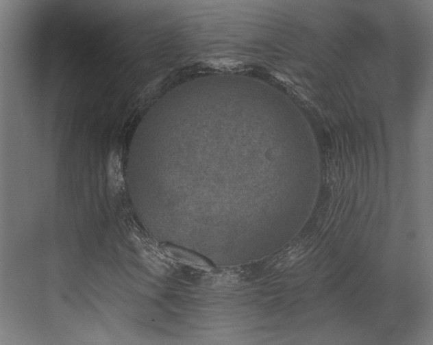 X0000072961106200607211150