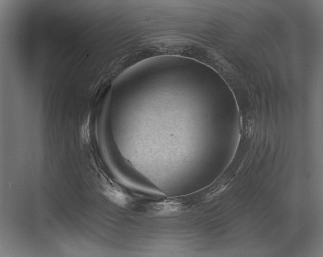 X0000072961108200607211150