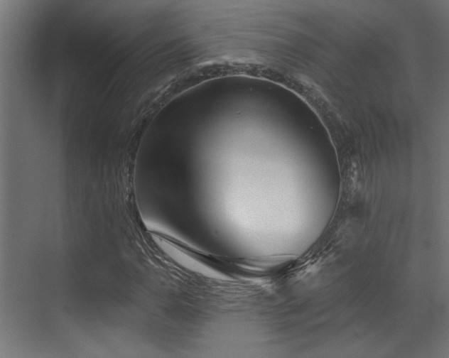 X0000072961110200607211150