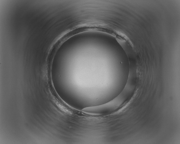 X0000072961114200607211150
