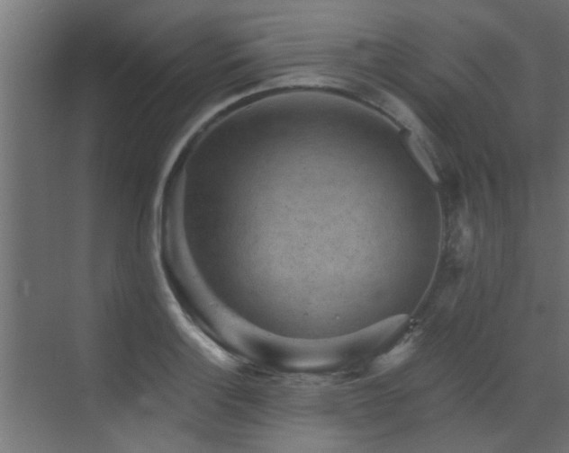 X0000072961132200607211150