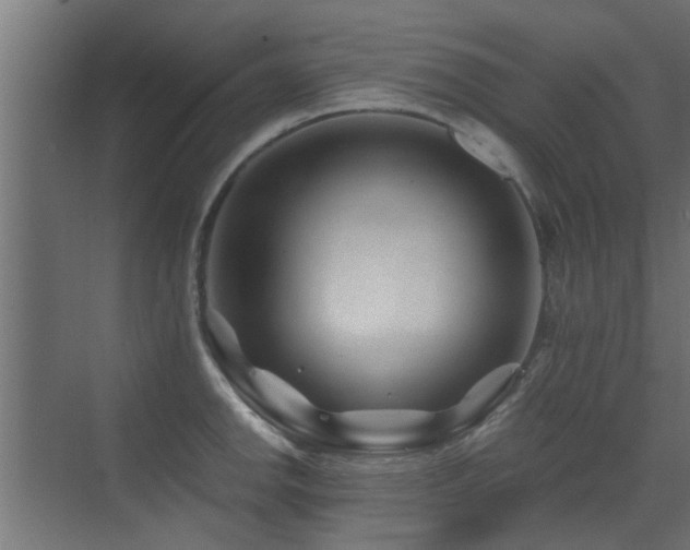 X0000072961142200607211150