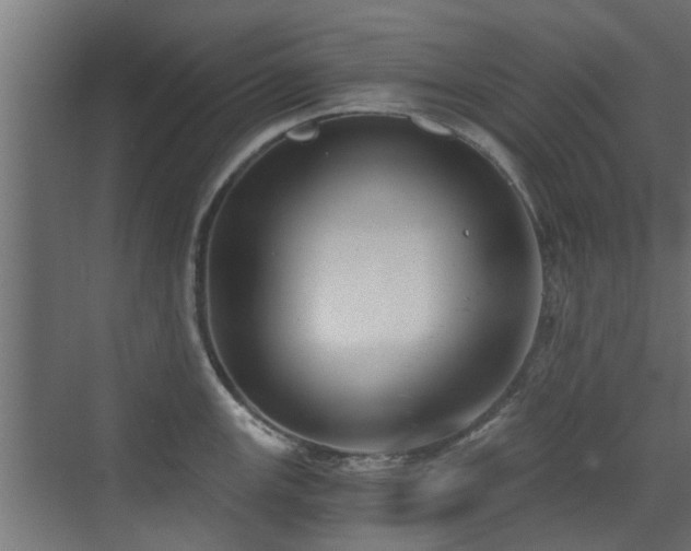 X0000072961147200607211150