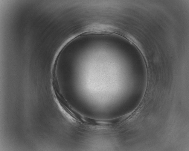 X0000072961152200607211150