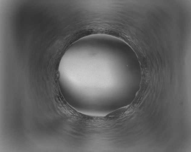 X0000072961153200607211150