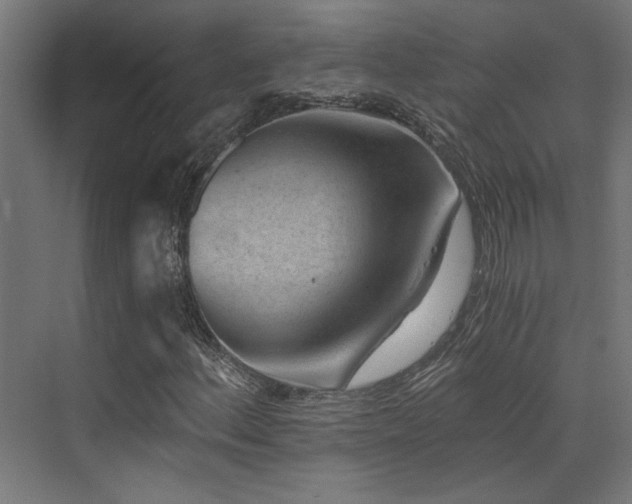 X0000072961156200607211150