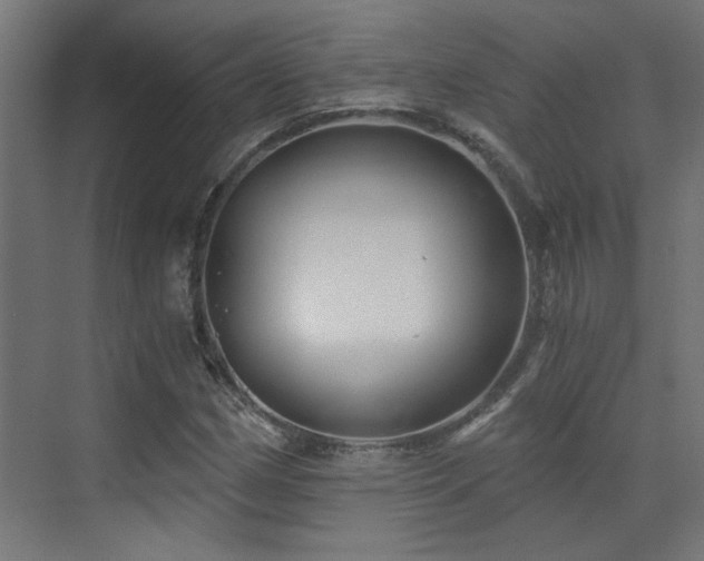 X0000072961162200607211150