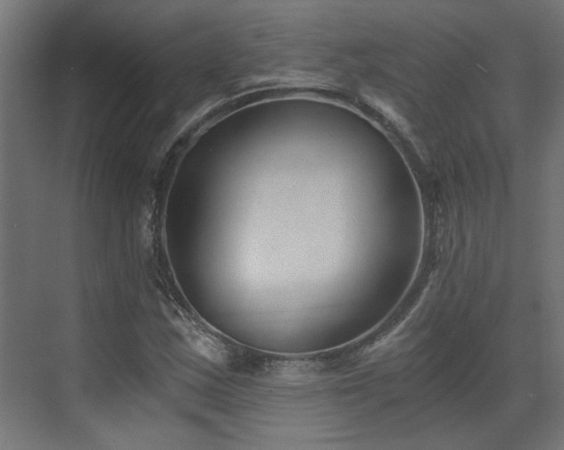 X0000072961163200607211149