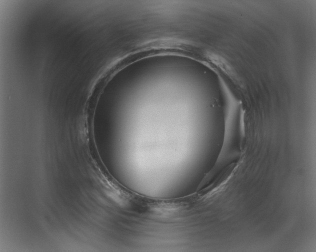 X0000072961164200607211149