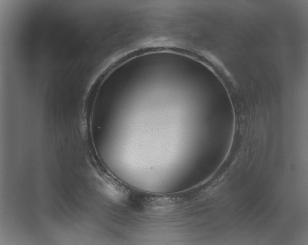 X0000072961167200607211149
