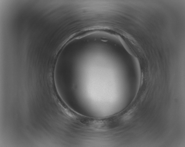 X0000072961177200607211149