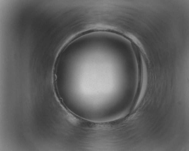 X0000072961183200607211149