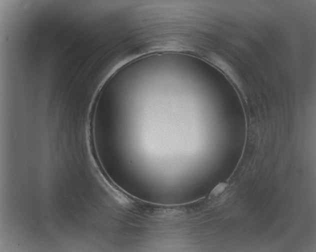 X0000072961187200607211149
