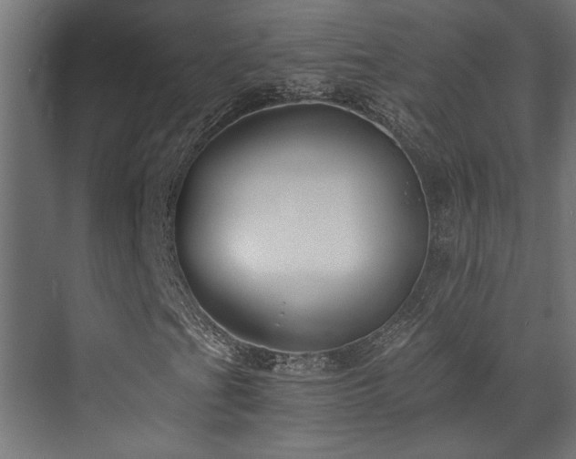 X0000072961201200607211148