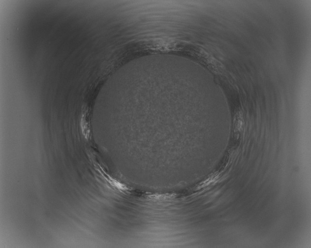 X0000072961202200607211148