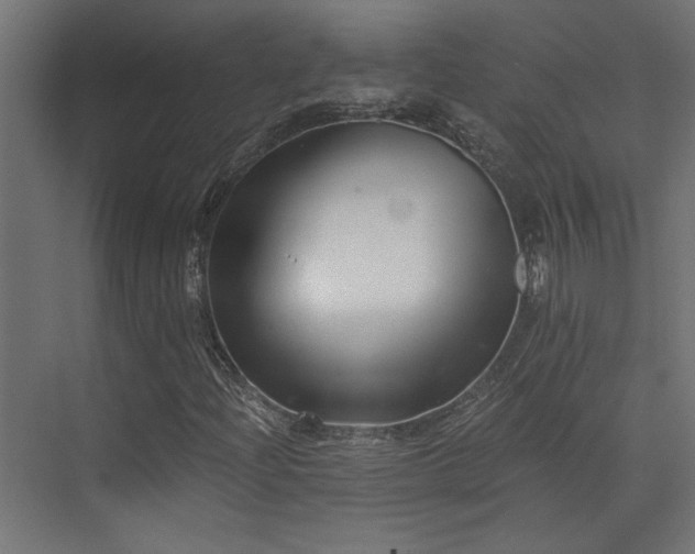 X0000072961204200607211148