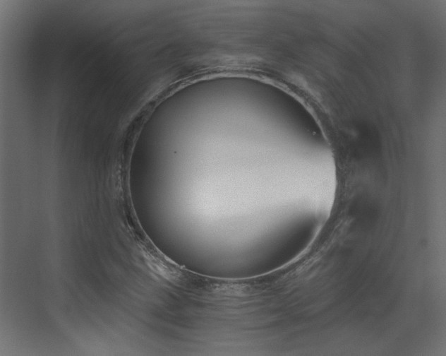 X0000072961211200607211148