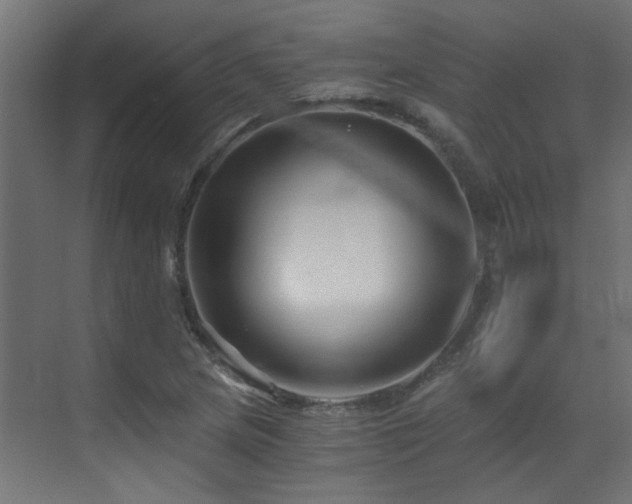 X0000072961217200607211148