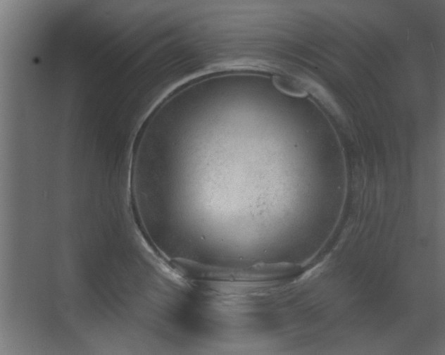 X0000072961228200607211149
