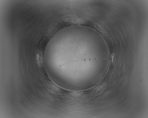 X0000072961251200607211148