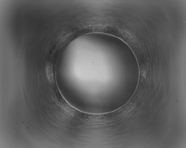 X0000072961252200607211148