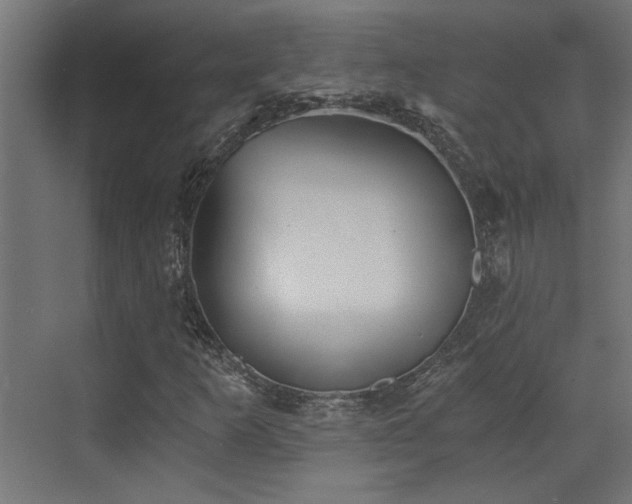 X0000072961253200607211148