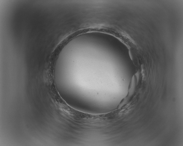 X0000072961256200607211148